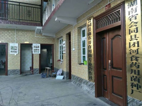湖南創(chuàng )蕈農業(yè)科技有限公司,懷化食用菌種植銷(xiāo)售,懷化羊肚菌種植銷(xiāo)售,懷化赤松茸種植銷(xiāo)售 湖南創(chuàng )蕈農業(yè)科技有限公司,懷化食用菌種植銷(xiāo)售,懷化羊肚菌種植銷(xiāo)售,懷化赤松茸種植銷(xiāo)售