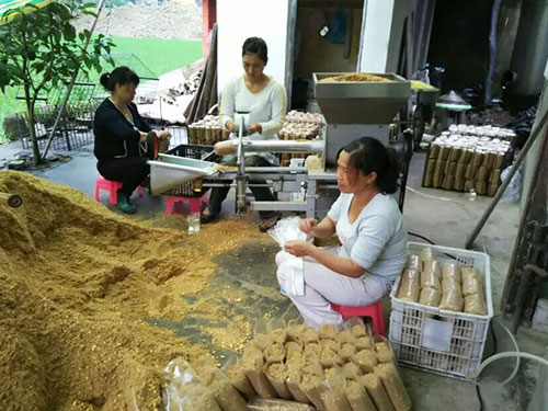 湖南創(chuàng )蕈農業(yè)科技有限公司,懷化食用菌種植銷(xiāo)售,懷化羊肚菌種植銷(xiāo)售,懷化赤松茸種植銷(xiāo)售 湖南創(chuàng )蕈農業(yè)科技有限公司,懷化食用菌種植銷(xiāo)售,懷化羊肚菌種植銷(xiāo)售,懷化赤松茸種植銷(xiāo)售