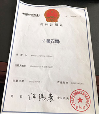 湖南創(chuàng  )蕈農業(yè)科技有限公司,懷化食用菌種植銷(xiāo)售,懷化羊肚菌種植銷(xiāo)售,懷化赤松茸種植銷(xiāo)售