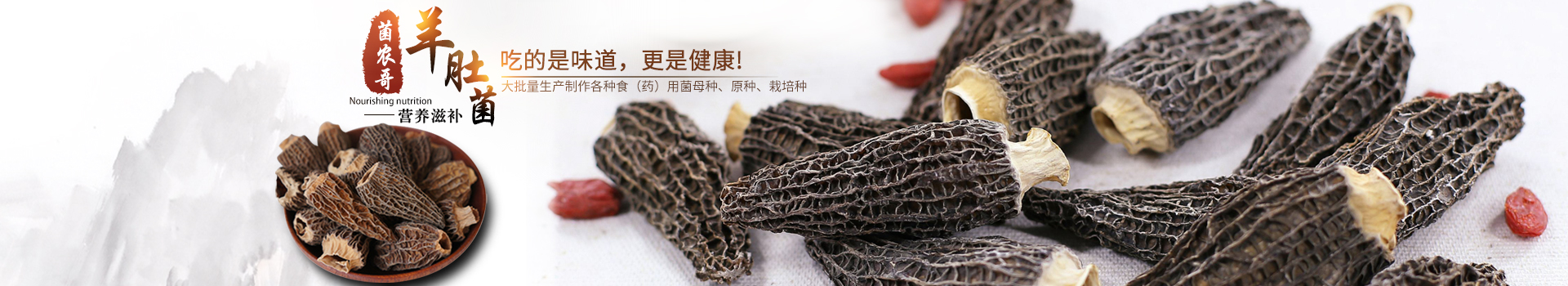 湖南創(chuàng  )蕈農業(yè)科技有限公司_懷化食用菌種植銷(xiāo)售|懷化羊肚菌種植銷(xiāo)售|懷化赤松茸種植銷(xiāo)售