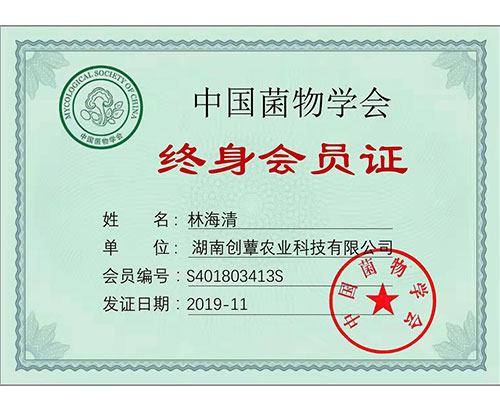 湖南創(chuàng  )蕈農業(yè)科技有限公司,懷化食用菌種植銷(xiāo)售,懷化羊肚菌種植銷(xiāo)售,懷化赤松茸種植銷(xiāo)售